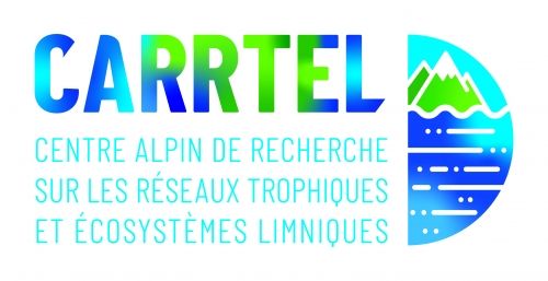 UMR Carrtel
